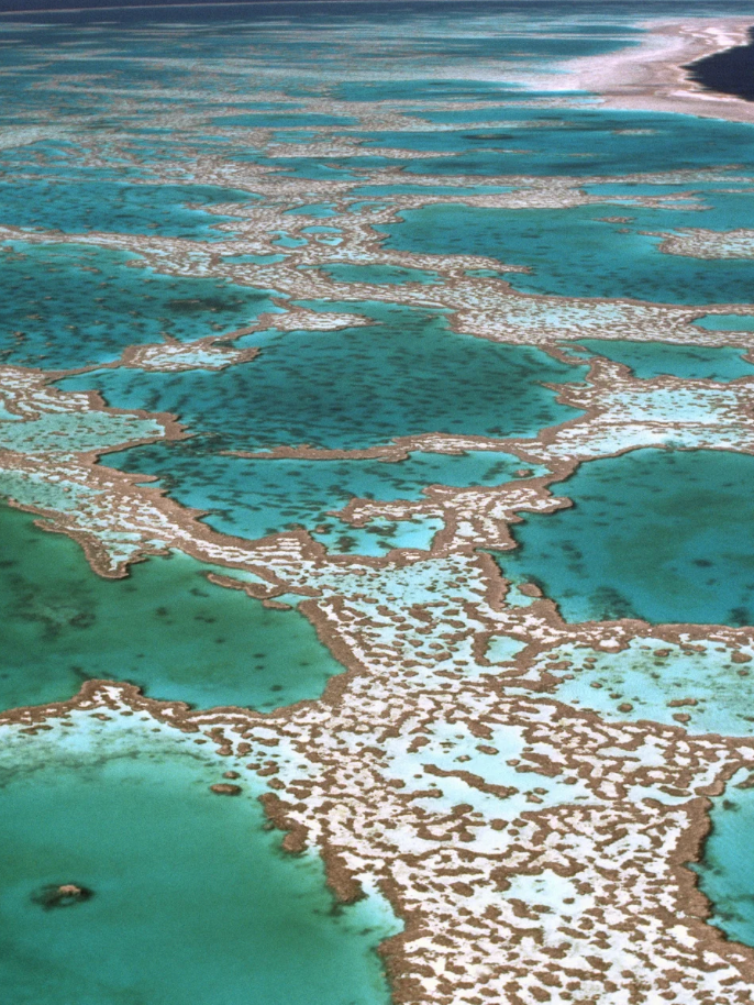 View from the sky of beach where to enjoy mermaids club beachrobes